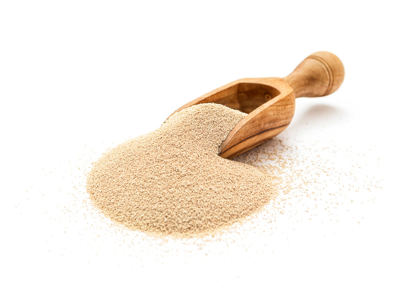 Saf-Instant Yeast 1 lb. Package EACH