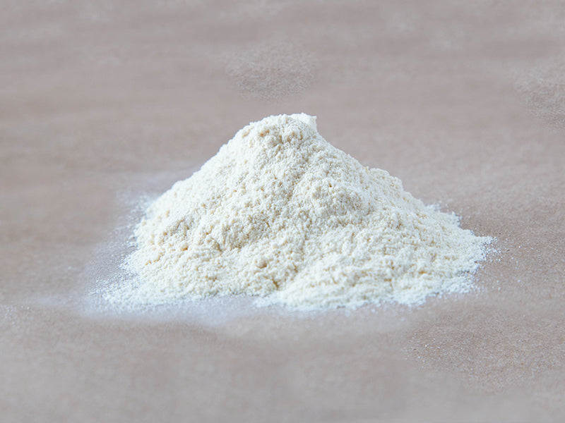 AP Garlic Powder Premium 1 lb. Bag EACH