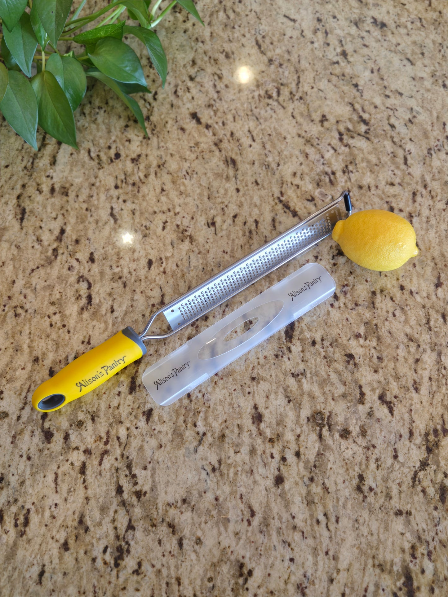 AP Heavy Duty Stainless Steel Zester Tool